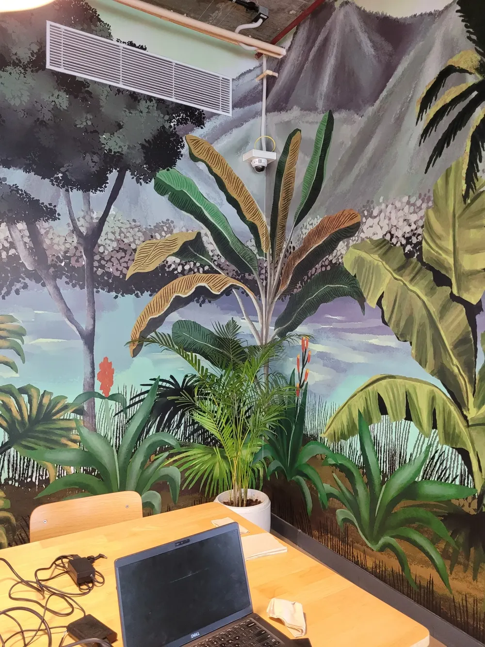 The Pythrust workspace, with plants and a mural wall